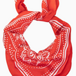 Load image into Gallery viewer, Paisley Bandana