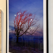 Load image into Gallery viewer, "Flint Hills" Framed Photograph