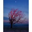 Load image into Gallery viewer, "Flint Hills" Framed Photograph