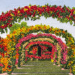 Load image into Gallery viewer, "Overripe: Next Chapter" By Mary Jo