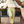 Load image into Gallery viewer, Mera Mid Rise Pant
