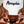 Load image into Gallery viewer, Memphis Cap - Have A Nice Game
