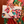 Load image into Gallery viewer, Paradise Clutch
