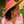 Load image into Gallery viewer, Pura Vida Sun Hat
