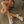 Load image into Gallery viewer, Hailee Platform
