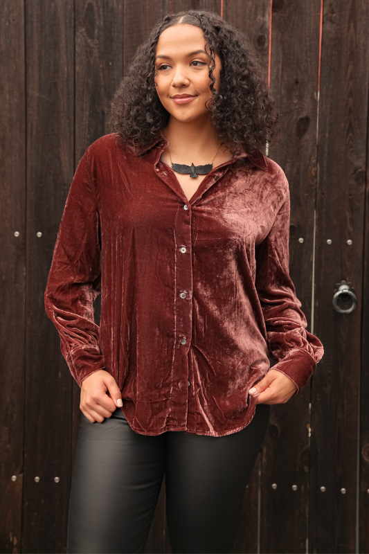 Mirabelle Velvet Top