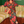 Load image into Gallery viewer, Tropicana Pant
