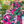 Load image into Gallery viewer, Cami Ruffle Dress
