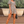 Load image into Gallery viewer, Daphne Romper
