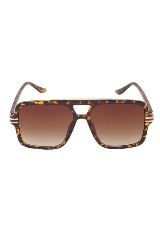 Bradley Aviators