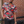Load image into Gallery viewer, Good Fortune Shirt
