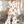 Load image into Gallery viewer, Rockstar Tiger Flares
