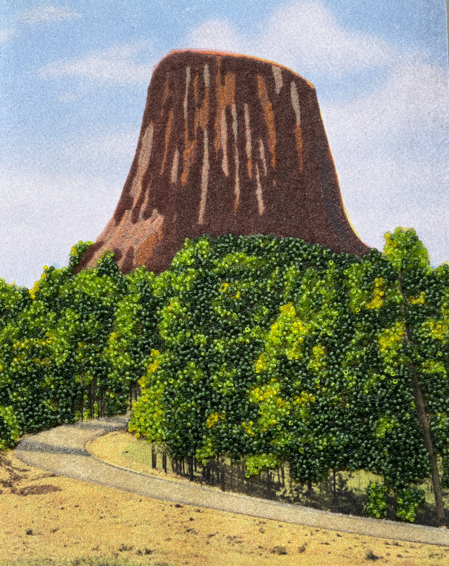 "Black Hills Devil" By Mary Jo