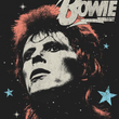 Load image into Gallery viewer, Bowie Stars Tee
