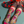 Load image into Gallery viewer, Cocktail Hour Sheer Crew Sock
