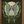 Load image into Gallery viewer, Luna Moth
