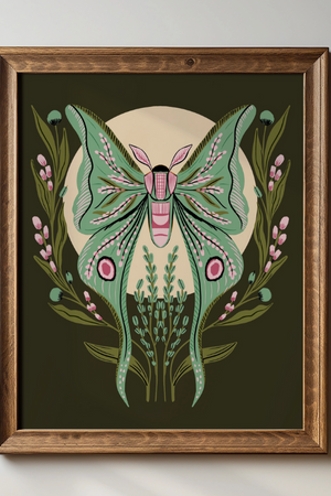 Luna Moth