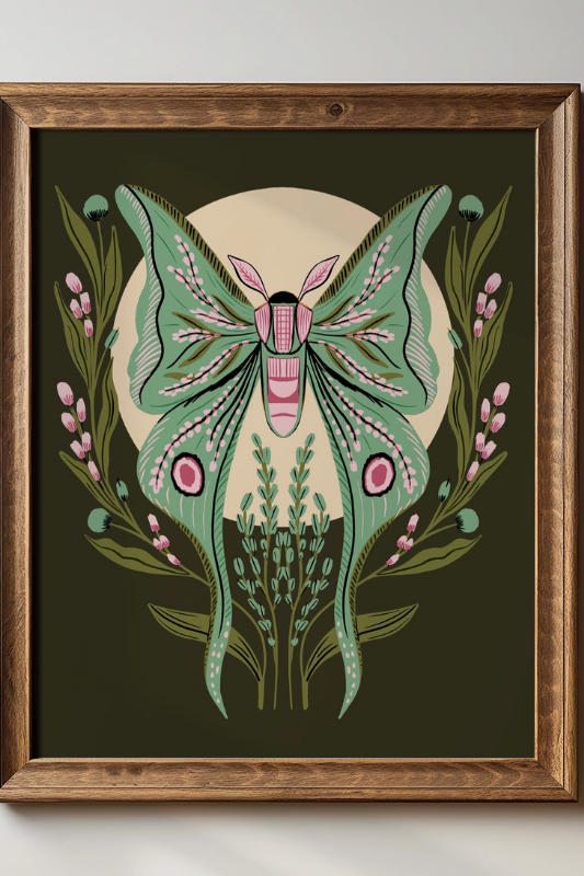 Luna Moth