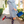 Load image into Gallery viewer, Bold Blue Floral Knee High Socks
