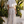 Load image into Gallery viewer, Claire Lace Pants
