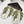 Load image into Gallery viewer, Vacation Vibes Leopard Earrings
