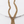 Load image into Gallery viewer, Diamond Tassel Necklace
