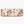 Load image into Gallery viewer, Mushroom Study Tray
