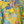 Load image into Gallery viewer, Pretty Polly Mini Caftan
