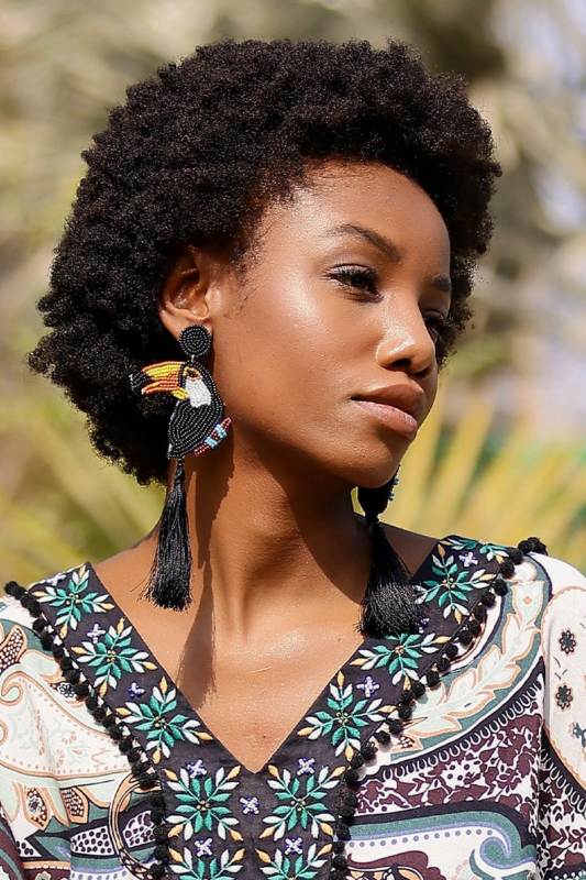 Toucan Paradise Earrings