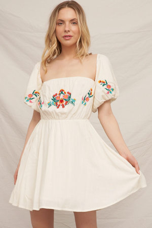 Emilia Mini Dress