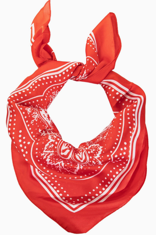 Paisley Bandana
