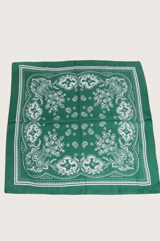 Paisley Bandana
