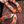 Load image into Gallery viewer, Flower Power Sheer Socks
