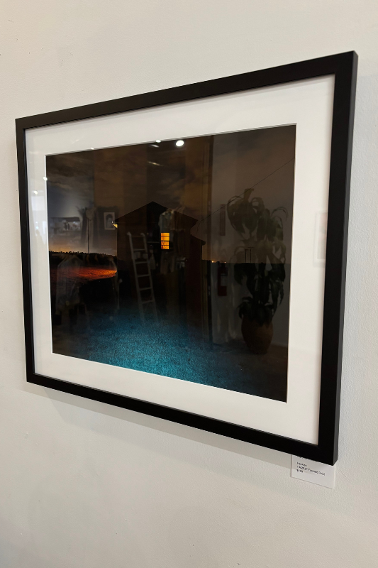 "Hackles" Framed Photograph