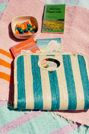 Portafolio Clutch - Cielo