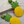 Load image into Gallery viewer, Bahama Mama Earrings
