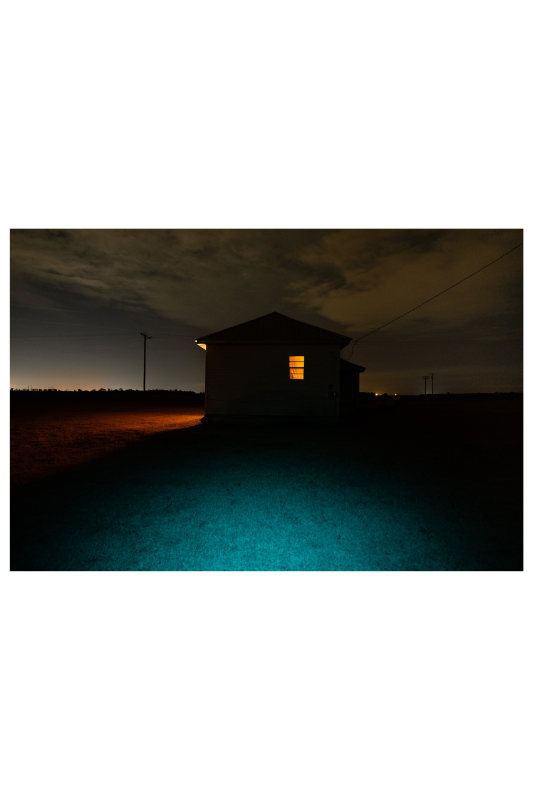 "Hackles" Framed Photograph