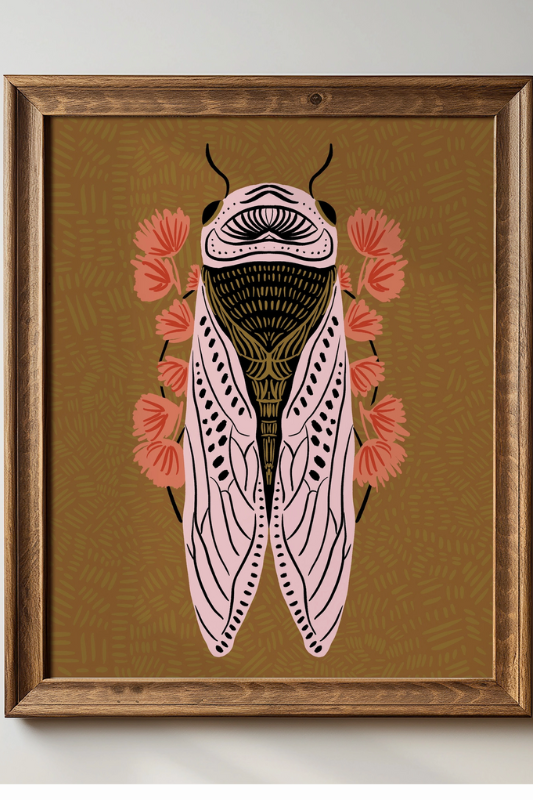 Cicada