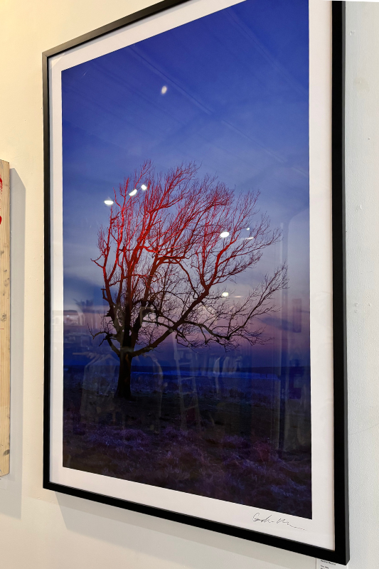 "Flint Hills" Framed Photograph