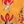 Load image into Gallery viewer, Floral Garden Bandana
