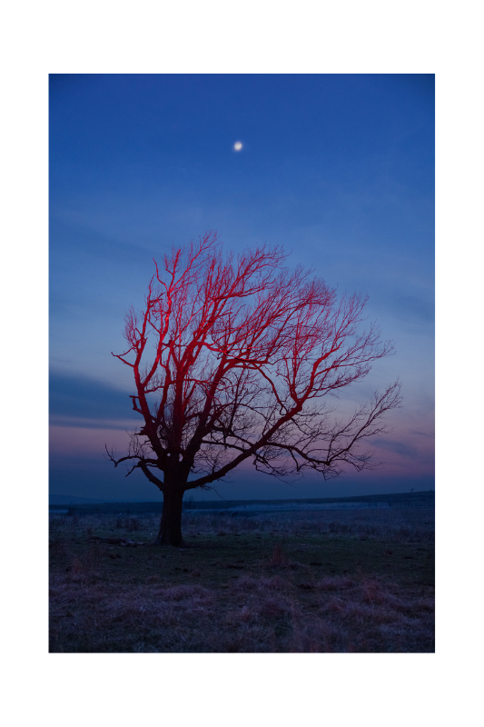 "Flint Hills" Framed Photograph