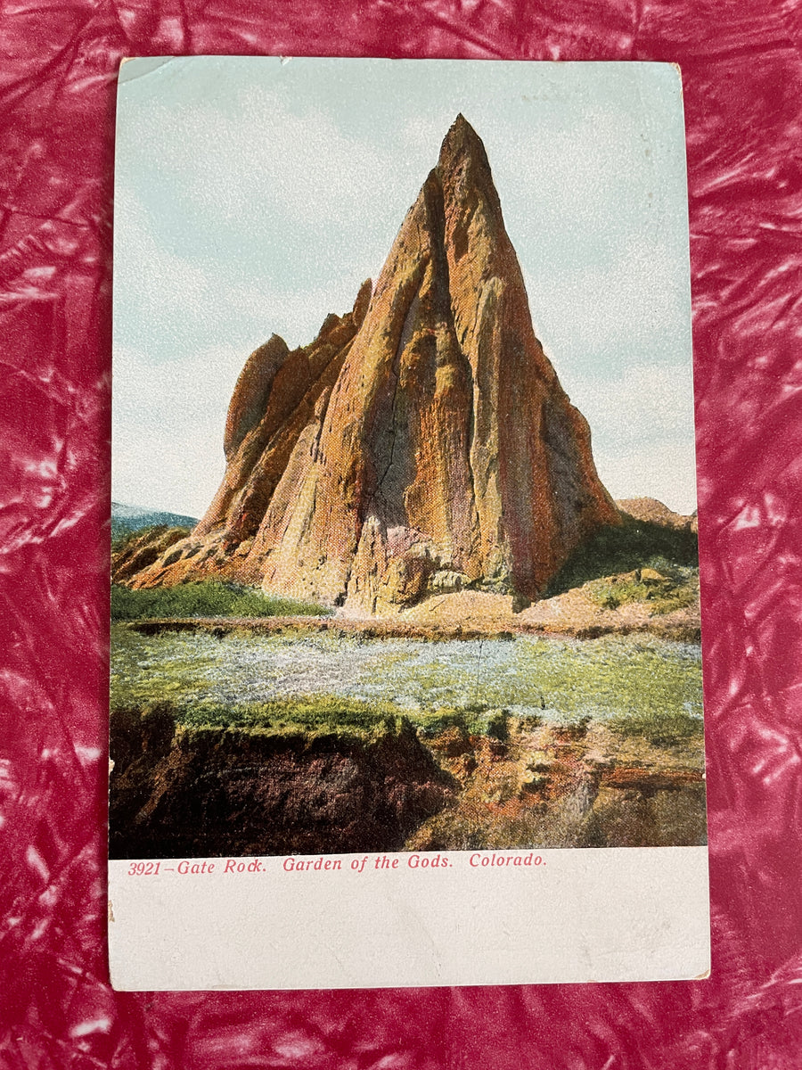 "Flock Rock 6" By Mary Jo