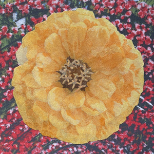 "Prettiest Things Can Sour" By Mary Jo