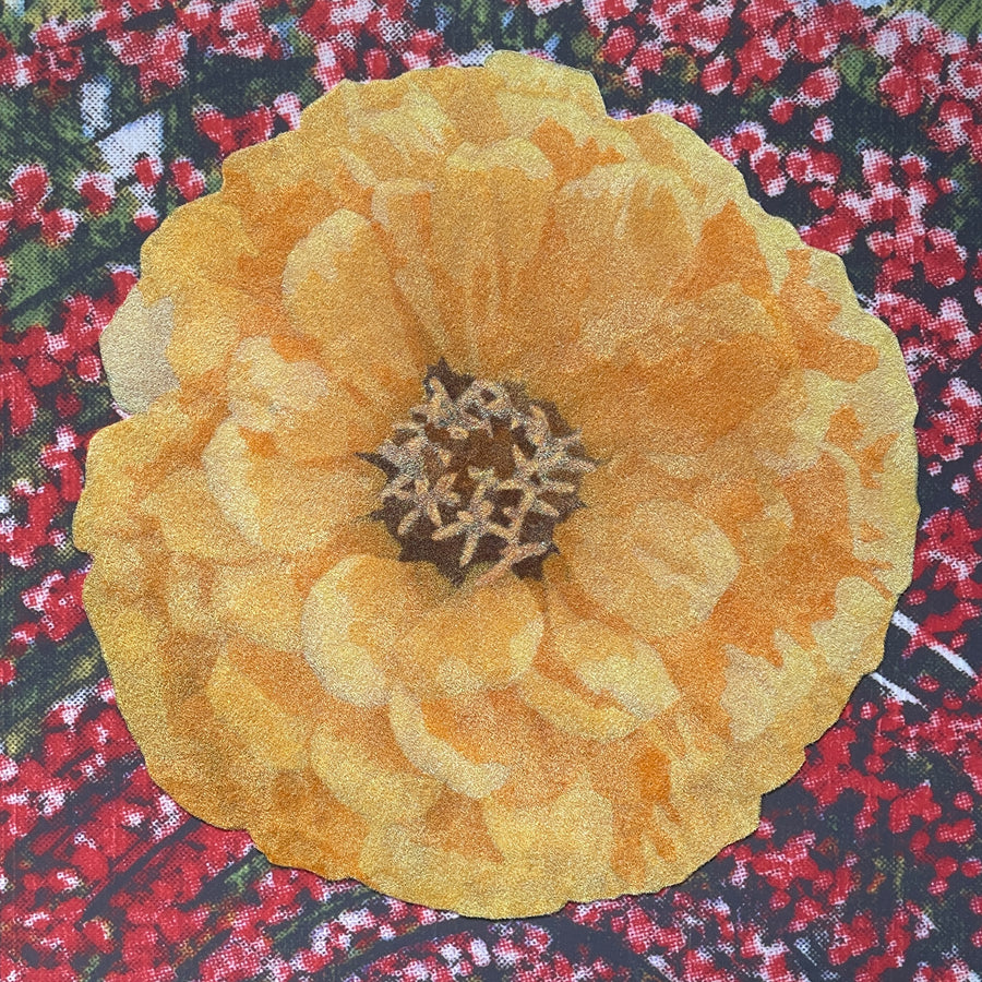 "Prettiest Things Can Sour" By Mary Jo