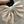 Load image into Gallery viewer, French Bow Barrette
