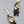 Load image into Gallery viewer, Alissa Earrings
