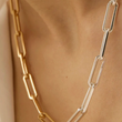 Load image into Gallery viewer, Liliana Mixed Metal Necklace
