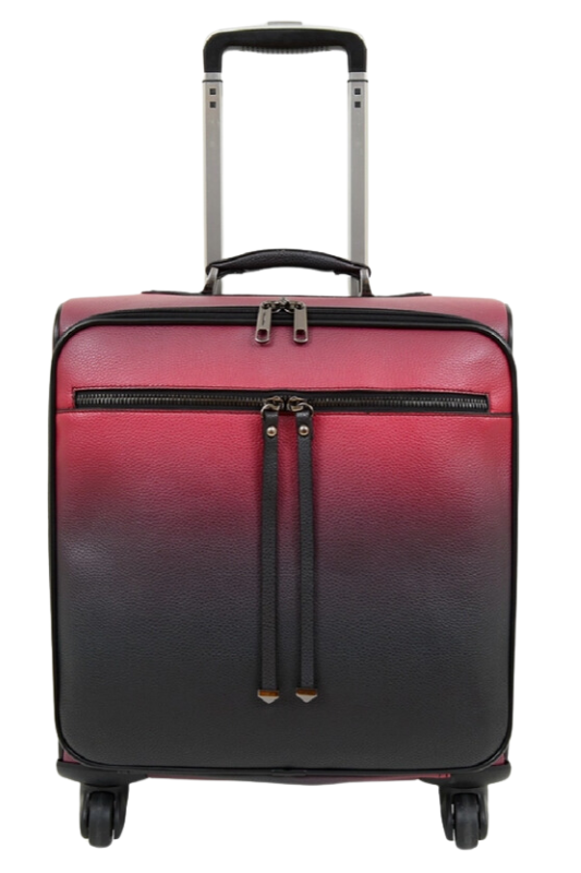 Rina Ombre Suitcase