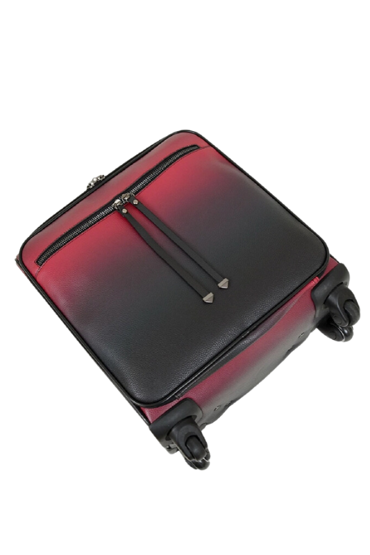Rina Ombre Suitcase