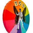 Load image into Gallery viewer, Elvis TCB Disc Art

